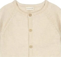 Prénatal Newborn Vestje Unisex - Baby Kleding Voor Jongens En Meisjes - Maat 56 - Ecru -Goedkope Kleintje Kleding Winkel 1200x1125 1