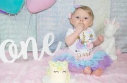 Eerste Verjaardag Eenhoorn Jurk Set, 3 In 1 Set Cakesmash Outfit Meisje - Babykleding - Roze Paars Unicorn - 1 Jaar -Goedkope Kleintje Kleding Winkel 1200x794 1