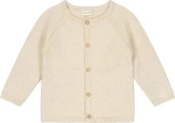 Prénatal Newborn Vestje Unisex - Baby Kleding Voor Jongens En Meisjes - Maat 56 - Ecru