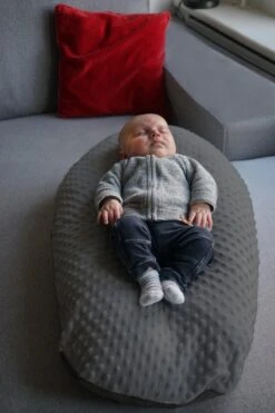 Zwangerschapskussen Donkergrijs + Voedingskussen + Babynestje In één Product - Premium Kwaliteit - Babynestje Hoes Inbegrepen -Goedkope Kleintje Kleding Winkel 800x1200 92